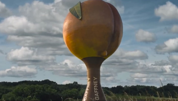 UFORGLEMMELIG: Denne ferskenen finnes på ordentlig. Kommer du kjørende på vei mot Franks hjemby i South Carolina, står det sågar skiltet til den. FOTO: Netflix