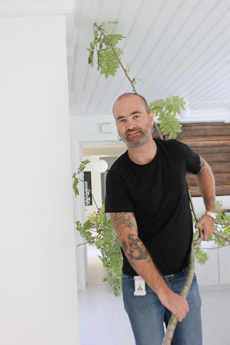 FÅR SKRYT: Når fruen vil ha et tre i hus, kan det være en idé å være litt listig. Ellers får man kanskje ikke hjelp. FOTO: Stina Andersen / Fru Andersen