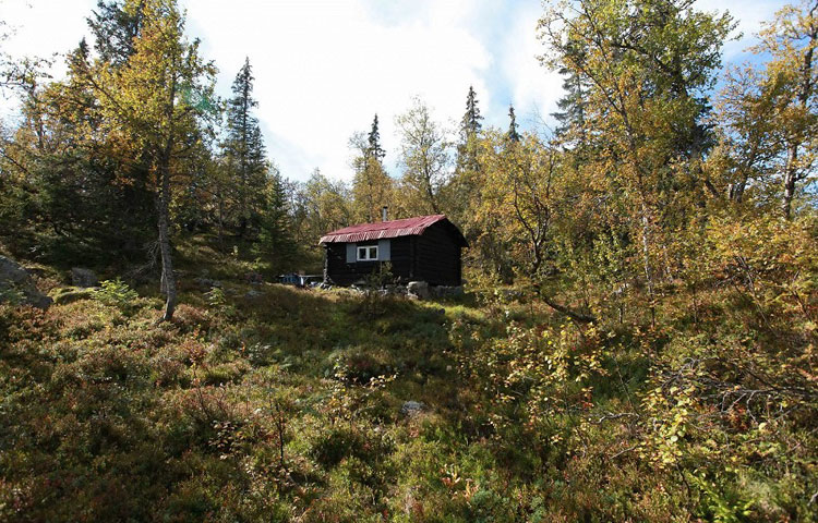 rjukan1rett