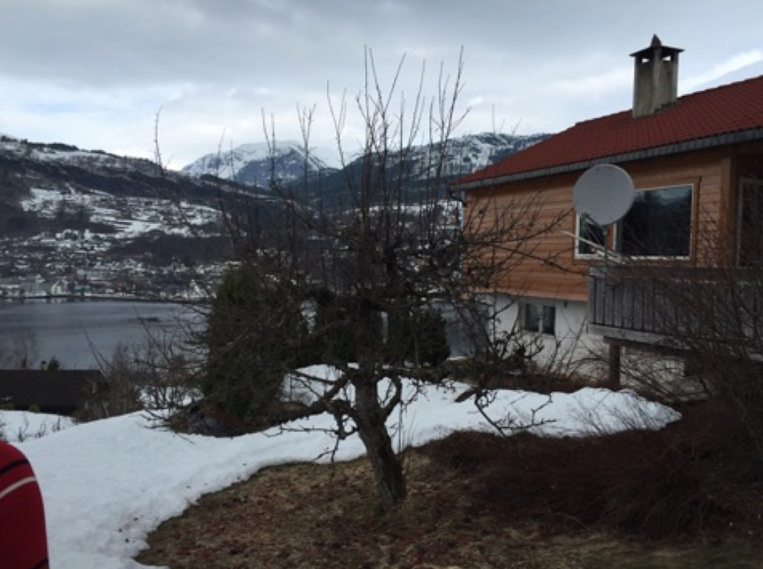 FØR BESKJÆRING: FOTO: Elisabeth Heggland Urø