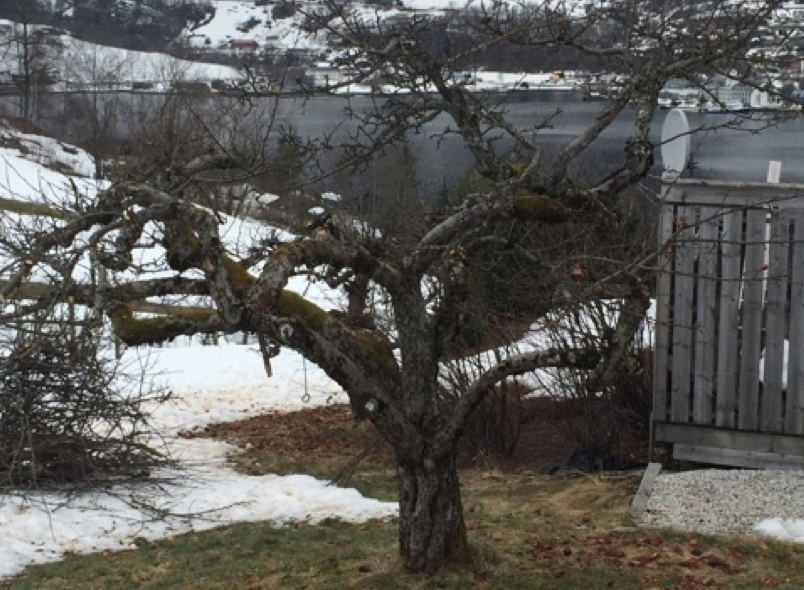 FOTO: Elisabeth Heggland Urø