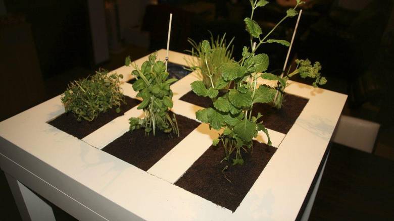 ALTERNATIV: Ikeabordet kan bli en flott blomsterkasse. Oppskiften finner du på ikeahackers.net. FOTO: IKEAHACKERS.NET