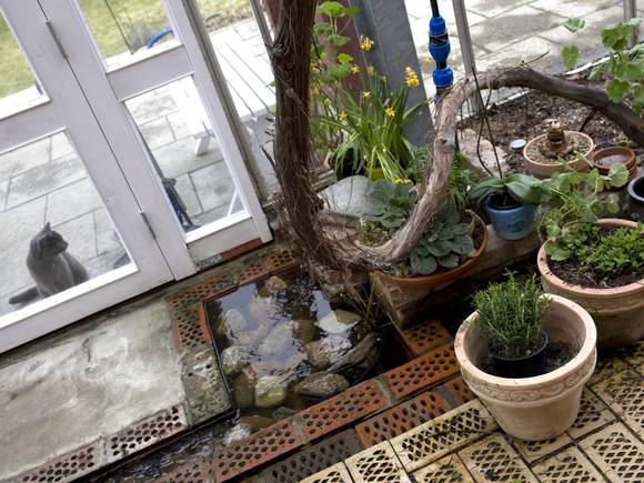 GJENBRUK: Familien bruker avløpsvann til plantene. -Det du slipper ut er faktisk nok til å gi gjødsel til den mengden vekster som skal til for å fore deg, forklarer Anders Solvarm. FOTO: Karen Gjermundrød