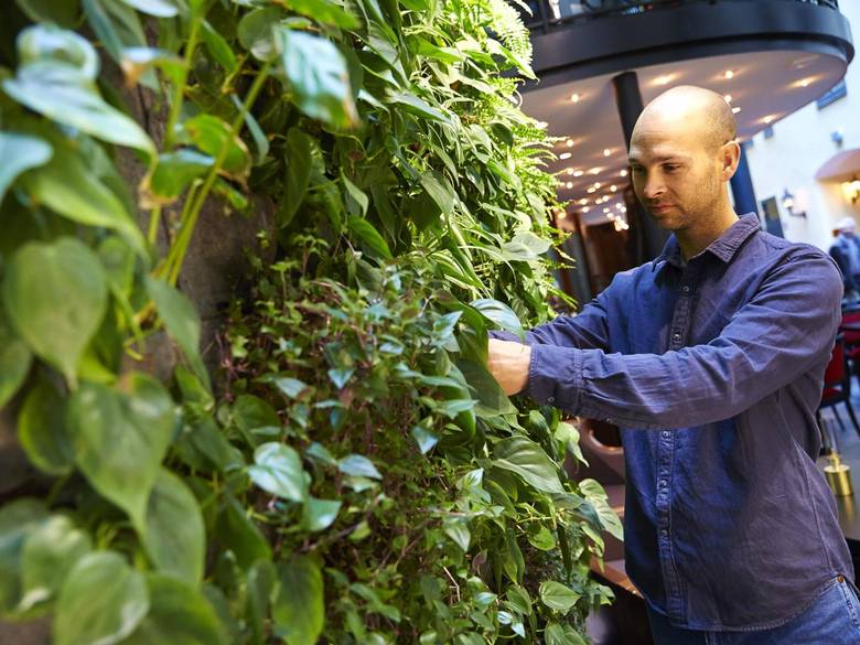 VARIASJON: - Akkurat som med en vanlig hage, plasserer jeg planter i grupper og enkeltvis, med ulike lag, farger og tekstur for å finne interessante kombinasjoner, sier landskapsarkitekt Michael Hallgren. FOTO: Fredrik Persson, TT