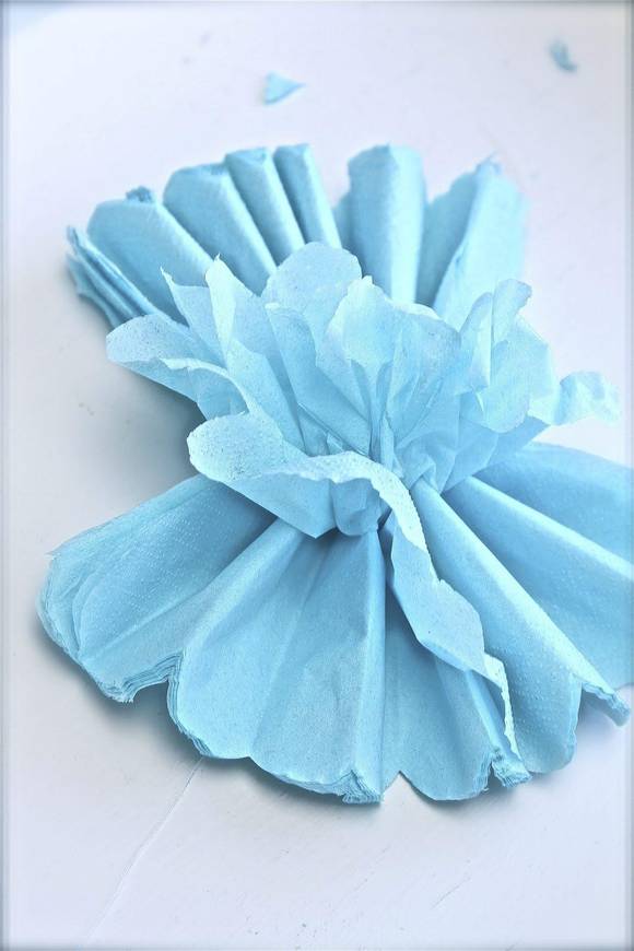 pompom5