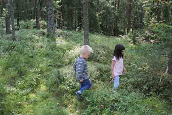 INTERIØRJAKT: Ta med deg familien ut i skogen, barna finner lett mange skatter som du kan dekorere med hjemme. FOTO: Stina Andersen / Fru Andersen