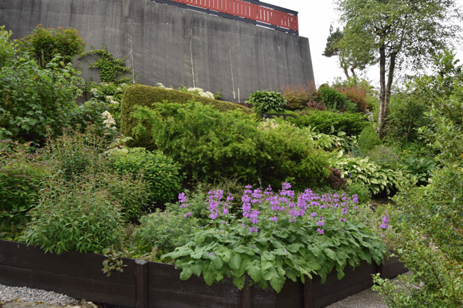 AVFALLSHAUG: Området var dekket av hageavfall og ugress, og det dekket halve muren. Nå klatrer det klatre Hortensia opp langs muren, og området er fullt med stauder og solbærbusker. FOTO: Elisabeth Heggland Urø