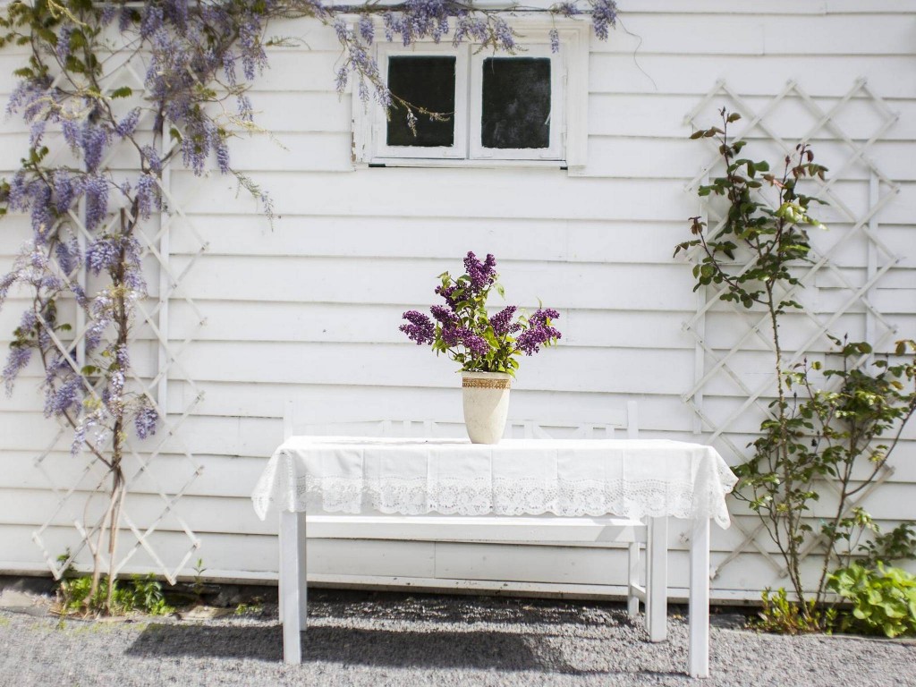 FAVORITTVEGGEN: Planten som snor seg oppover veggen på småhuset kalles blåregn. Det egentlige navnet er Wisteria. FOTO: INGVILD FESTERVOLL MELIEN